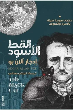 القط الأسود