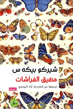 مضيق الفراشات