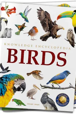 320743 Animals: Birds (Knowledge Encyclopedia For Children)