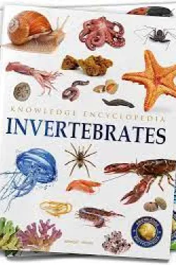 320745 Animals: Invertebrates (Knowledge Encyclopedia For Children)