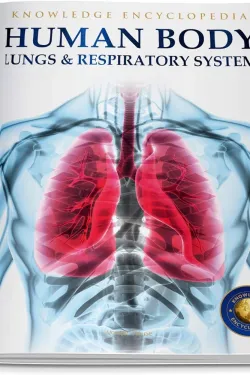 Human Body - Lungs And Respiratory System: Knowledge Encyclopedia For Children