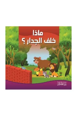 ماذا خلف الجدار