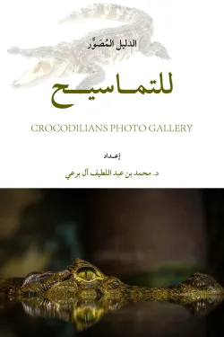 483136 التماسيح