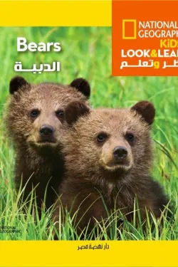 انظر وتعلم- الدببة