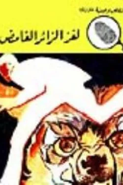 لغز الزائر الغامض