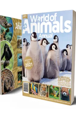 World of Animals Annual